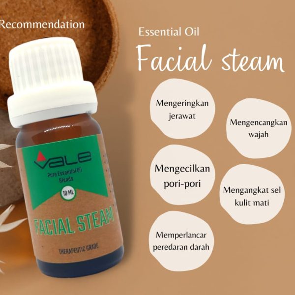 Facial Steam